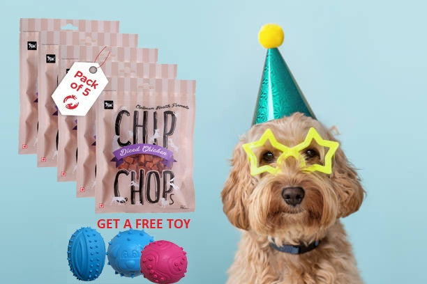 Birthday Treat Set - Buy 5 ChipChop Treats (Mix Flavours)and Get a Toy Free
