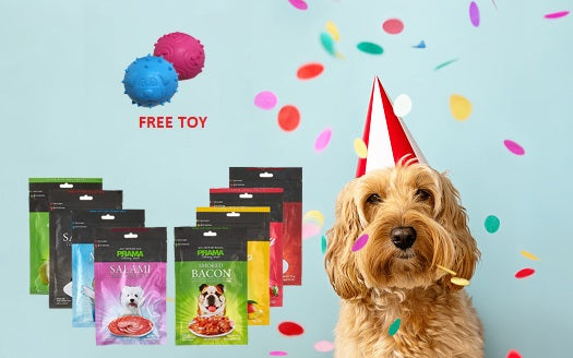Birthday Treat Set - Buy 5 Prama Treats (Mix Flavours)and Get a Toy Free