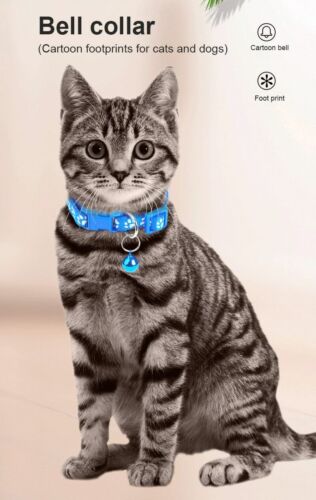 Nootie Collar for Cat, Small Dog And Puppies With attractive Bell