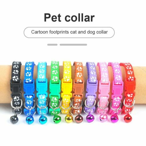 Nootie Collar for Cat, Small Dog And Puppies With attractive Bell
